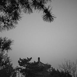 《诡异西部》新实机演示 展示犯罪与帮助他人